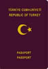 Vize